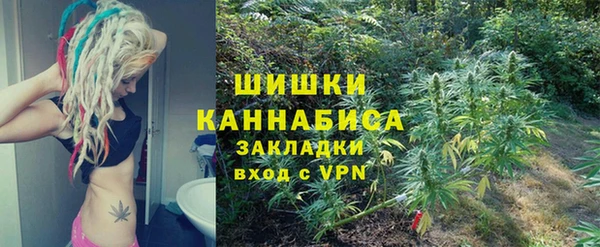 индика Ладушкин