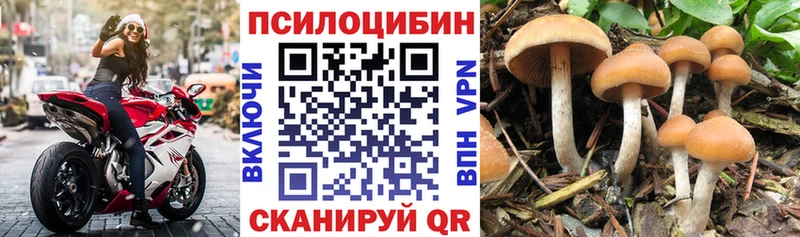 дарнет шоп  Тайга  Галлюциногенные грибы Magic Shrooms 
